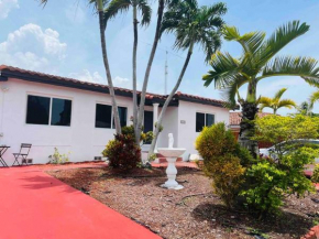 Ana House in Miami